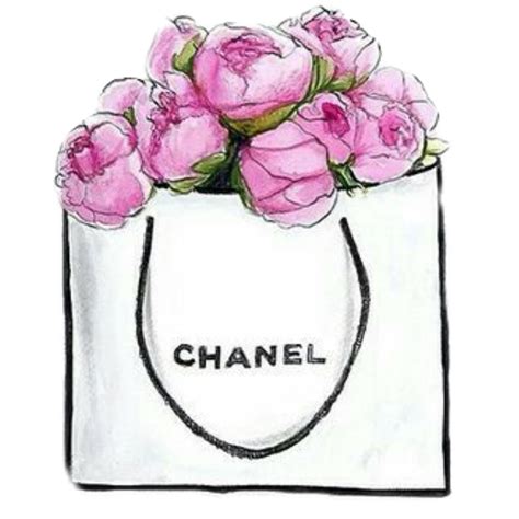 chanel sketches